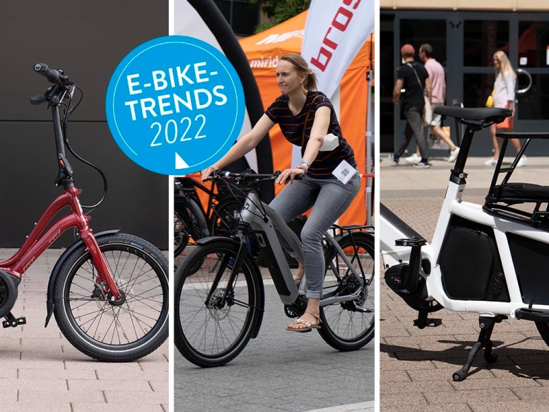 Prophete E-Bike Cargo Plus: Bei - Aldi zum Tiefpreis IMTEST