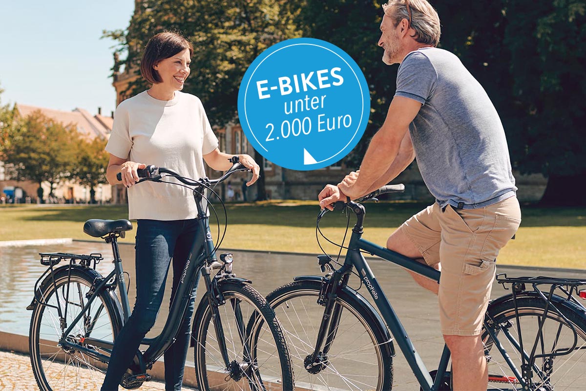 E-Bikes bis 2.000 Euro: Angebot Fischer im - IMTEST E-Hollandrad von