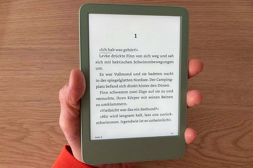 eBook-Reader, der von einer Hand festgehalten wird