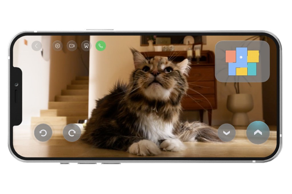 Ein Smartphone im Querformat, auf dem eine Katze in der Roborock-App zu sehen ist.