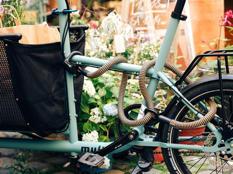 Fahrradschloss tex-lock vom Hersteller eyelet, dass ein Lastenfahrrad sichert. Das Bike steht vor einem Blumen bewachsenen Eingang.