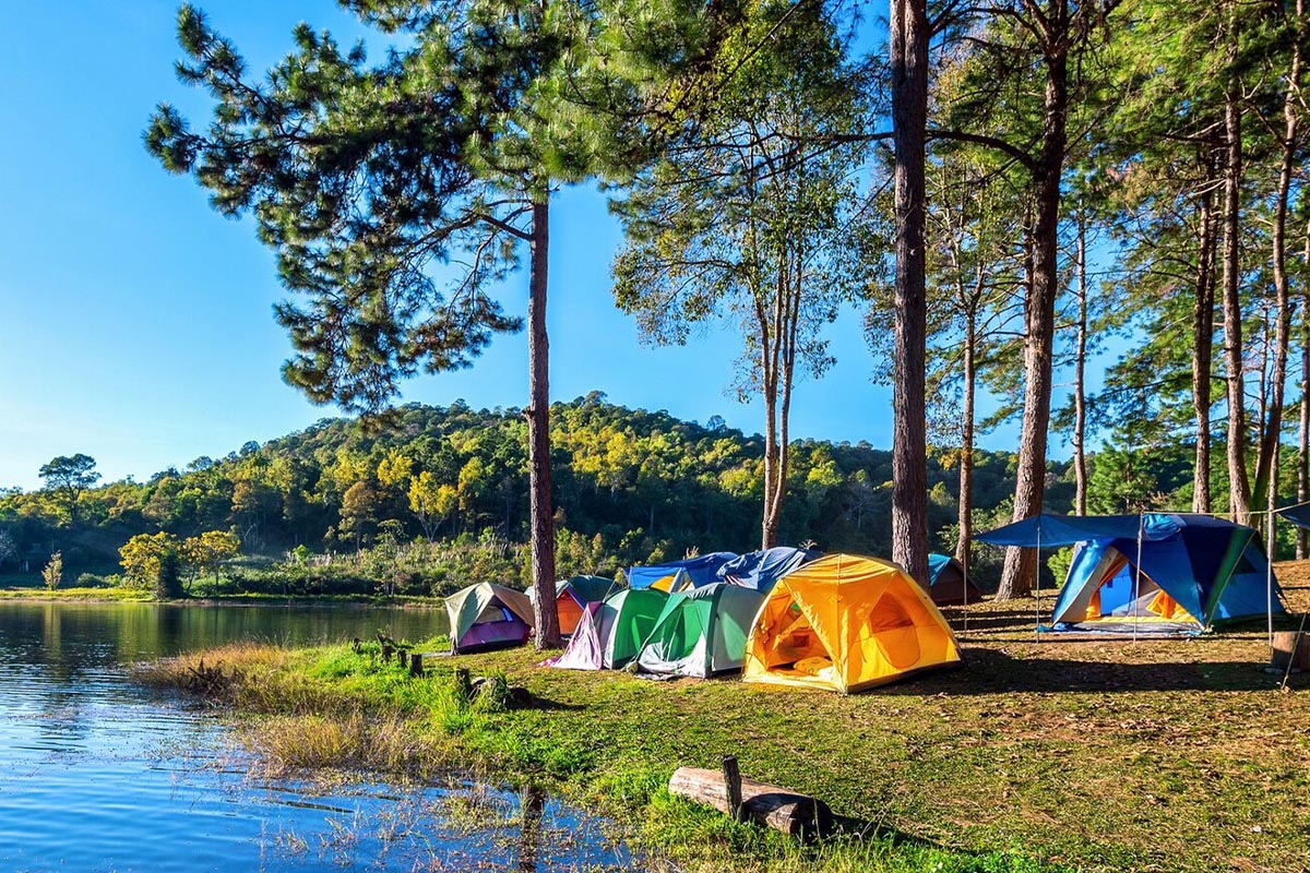 Bunte Zelte unter Kiefern an einem See