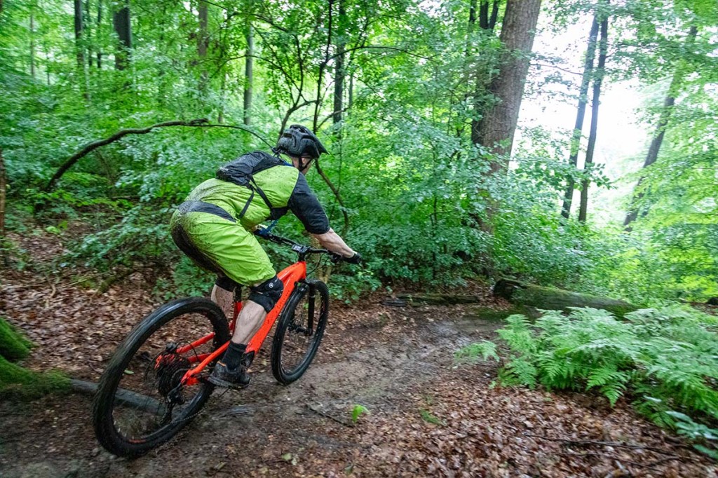 Person fährt mit einem Mountainbike im Wald