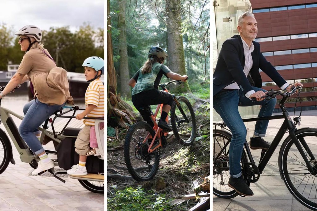 E-Bikes 2024: Die besten 135 im Test – von Trekking bis E-MTB