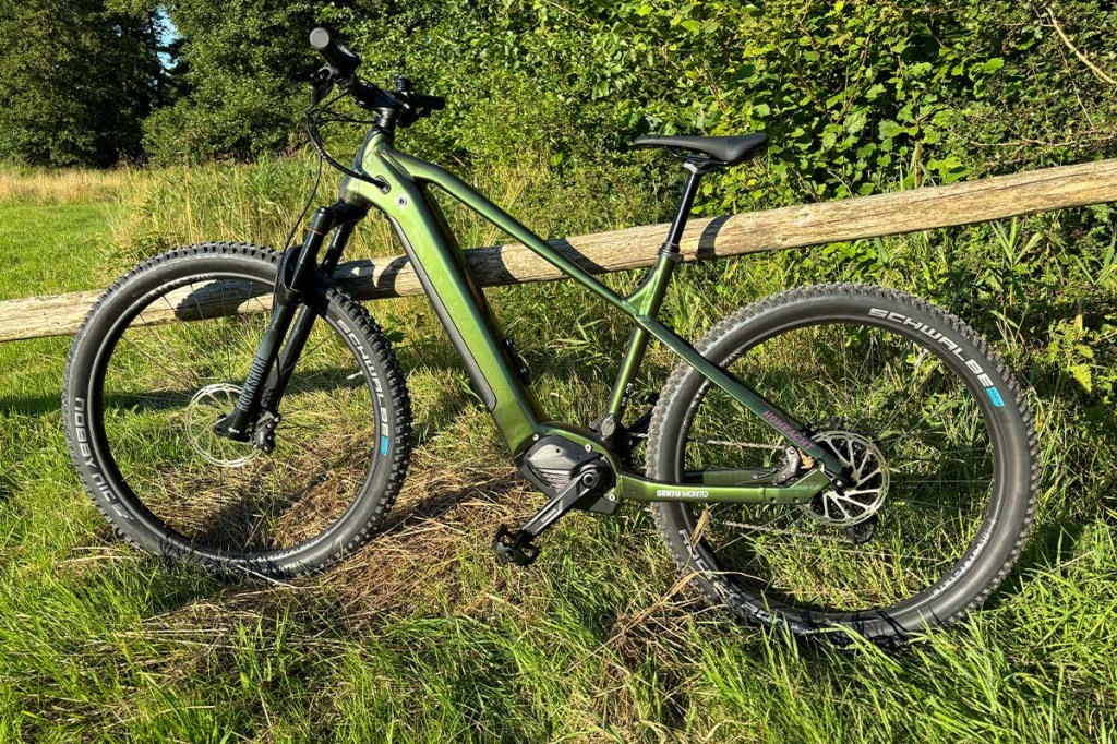 E-Bike vor einem Holzbalken auf einer Wiese lehnend