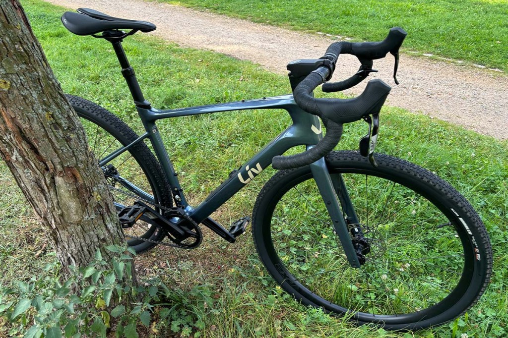 Gravelbike auf einer Wiese an einen Baum gelehnt