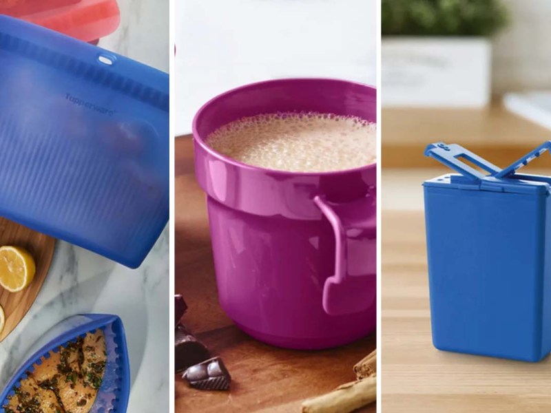 Tupperware für unterwegs: Die besten Produkte für Mittagessen und Picknick