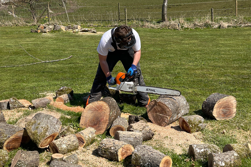 IMTEST-Geschäftsführer Immo Riege sägt einen Holzstamm in kleine Teile.